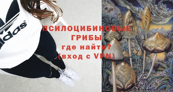эйфоретик Иннополис
