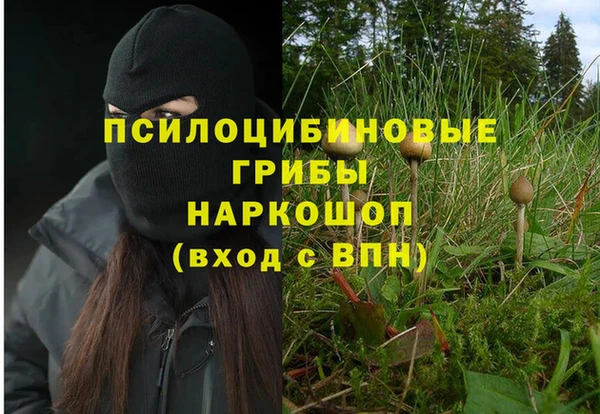герыч Зерноград