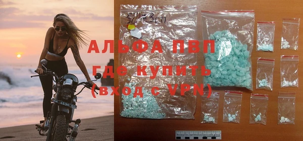 спайс Калининец