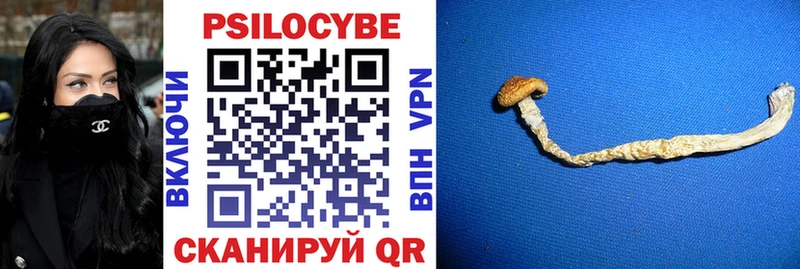 мега зеркало  Шумиха  Галлюциногенные грибы Magic Shrooms  это как зайти  сколько стоит 